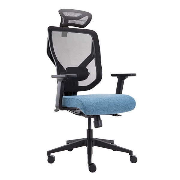 Sedie dell'ufficio della parte girevole della sedia di Vida Lumbar Support Ergonomic Chair Mesh Back Computer Chair Task